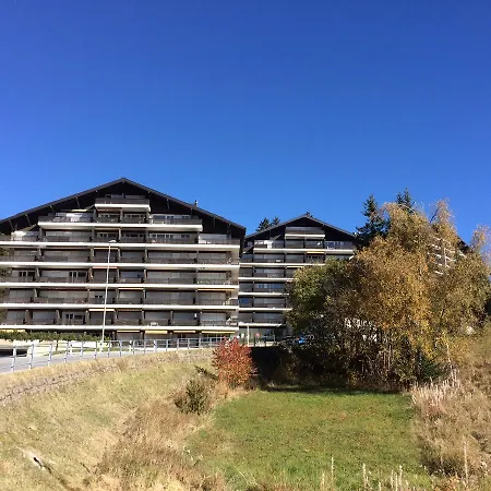 Choucas A Apartamento